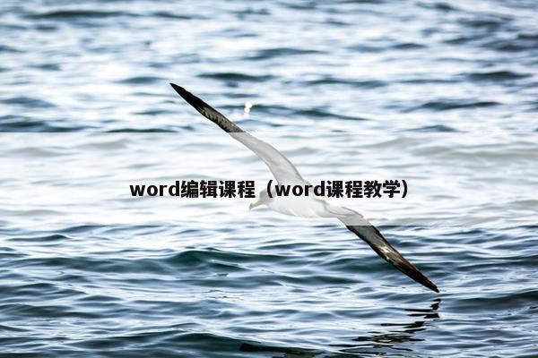 word编辑课程（word课程教学）