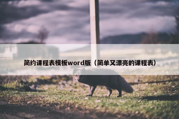 简约课程表模板word版（简单又漂亮的课程表）