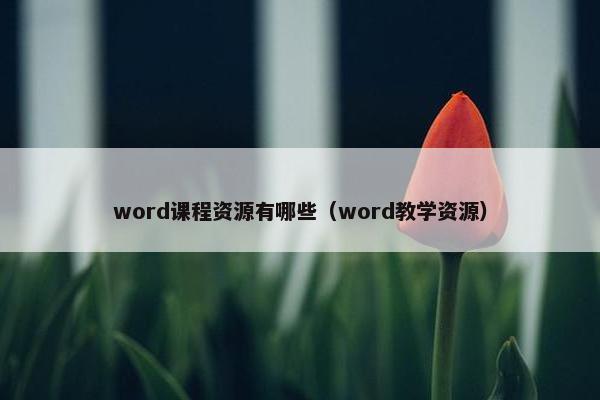 word课程资源有哪些（word教学资源）
