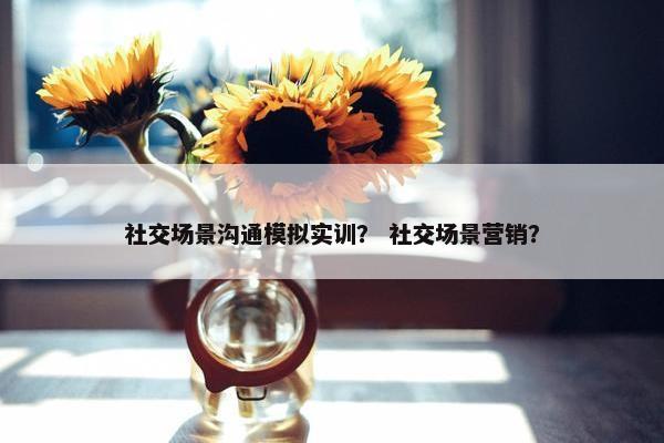 社交场景沟通模拟实训？ 社交场景营销？