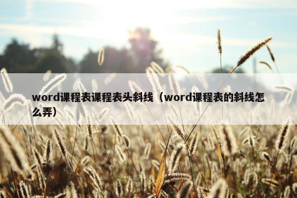 word课程表课程表头斜线（word课程表的斜线怎么弄）