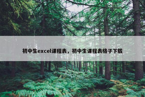 初中生excel课程表，初中生课程表格子下载